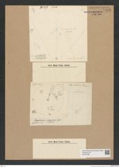 Diatomeae indet. Zeichnungen Sammlung Grunow Nr. 7992 (NHMW-BOT-W0377286)